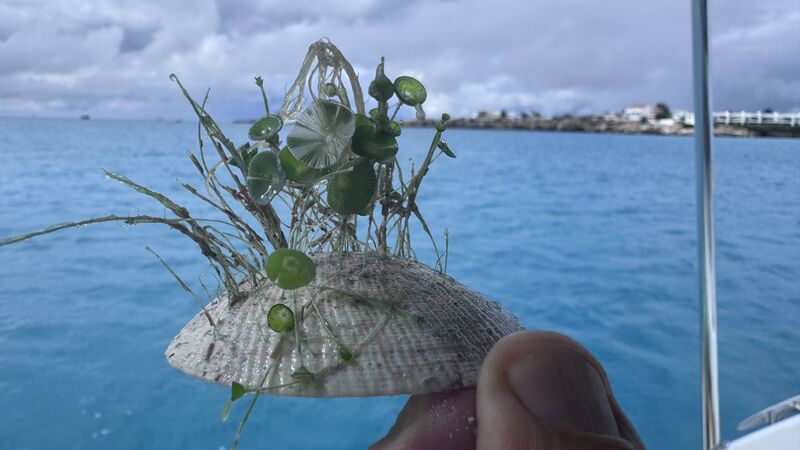 Philipsburg (Sint Maarten)